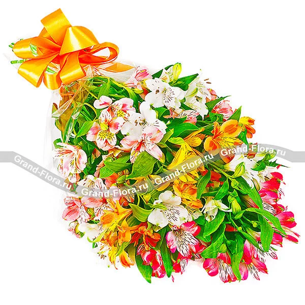 Акварельный набросок - букет из разноцветных альстромерий